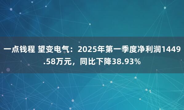 一点钱程 望变电气：2025年第一季度净利润1449.58万元，同比下降38.93%