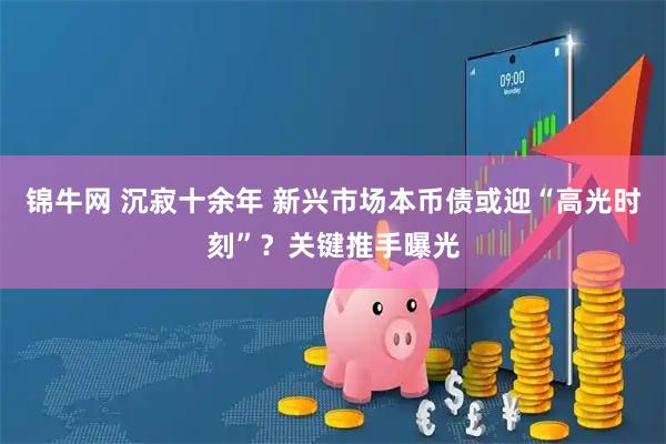 锦牛网 沉寂十余年 新兴市场本币债或迎“高光时刻”？关键推手曝光