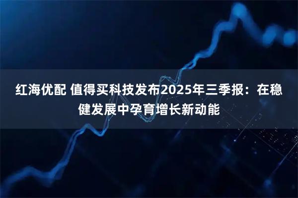 红海优配 值得买科技发布2025年三季报：在稳健发展中孕育增长新动能