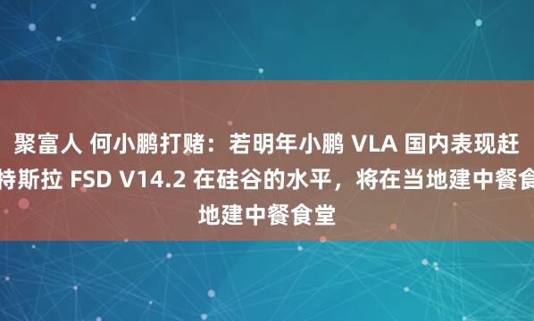 聚富人 何小鹏打赌：若明年小鹏 VLA 国内表现赶上特斯拉 FSD V14.2 在硅谷的水平，将在当地建中餐食堂
