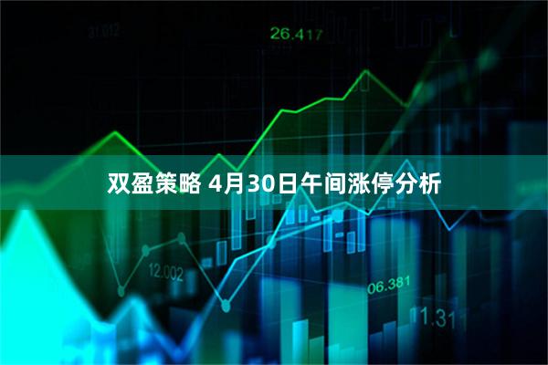 双盈策略 4月30日午间涨停分析