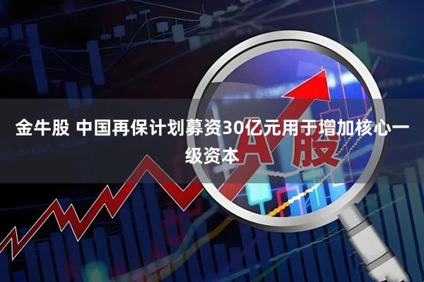 金牛股 中国再保计划募资30亿元用于增加核心一级资本
